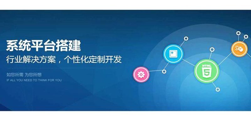 定制软件系统